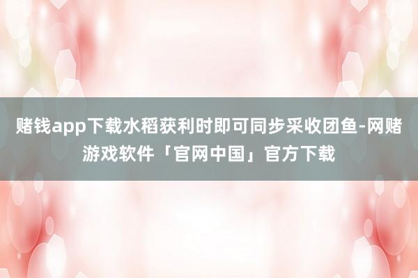 赌钱app下载水稻获利时即可同步采收团鱼-网赌游戏软件「官网中国」官方下载