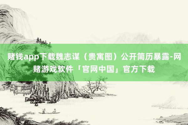赌钱app下载魏志谋（贵寓图）公开简历暴露-网赌游戏软件「官网中国」官方下载