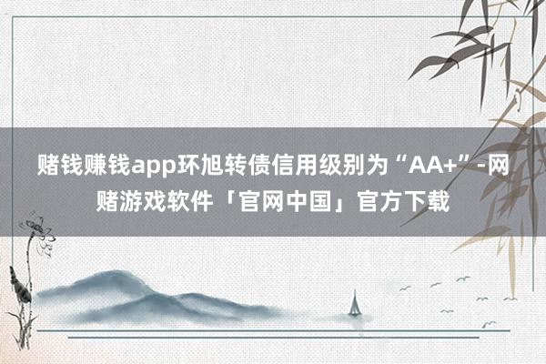 赌钱赚钱app环旭转债信用级别为“AA+”-网赌游戏软件「官网中国」官方下载