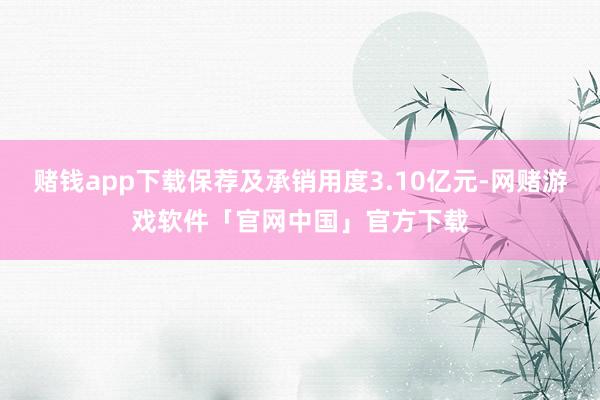 赌钱app下载保荐及承销用度3.10亿元-网赌游戏软件「官网中国」官方下载