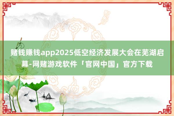 赌钱赚钱app2025低空经济发展大会在芜湖启幕-网赌游戏软件「官网中国」官方下载