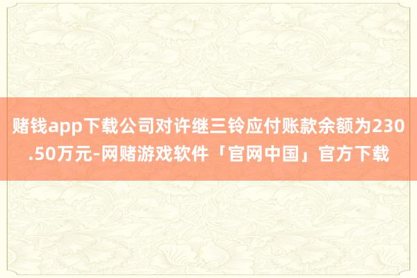 赌钱app下载公司对许继三铃应付账款余额为230.50万元-网赌游戏软件「官网中国」官方下载