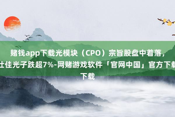 赌钱app下载光模块（CPO）宗旨股盘中着落，仕佳光子跌超7%-网赌游戏软件「官网中国」官方下载