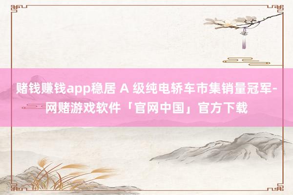 赌钱赚钱app稳居 A 级纯电轿车市集销量冠军-网赌游戏软件「官网中国」官方下载